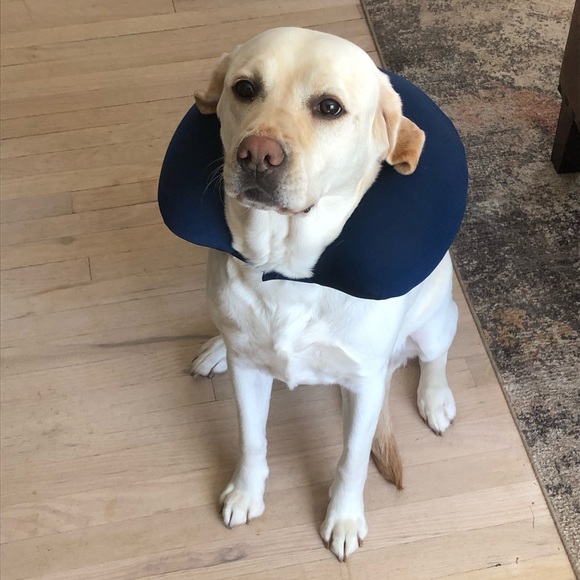 Meet the Posher Other - Meet your Posher, Victoria